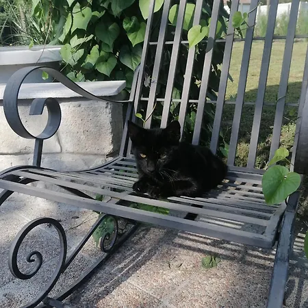 Gæstehus Sziget Gyoengye Vendeghaz